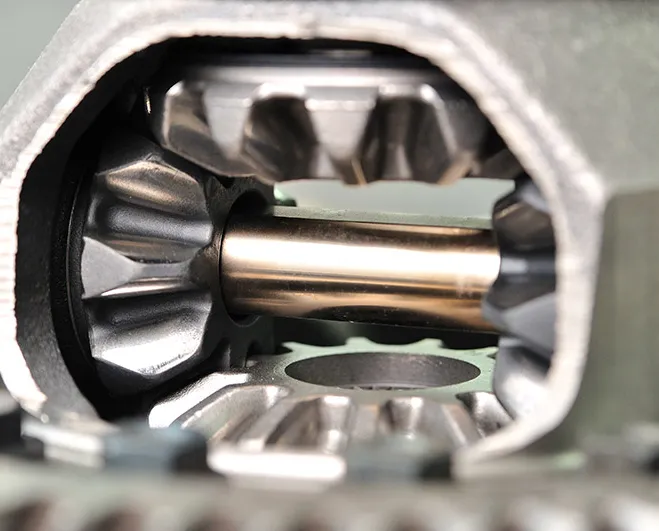 shutterstock_173671817